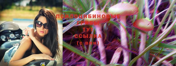 прущая мука Абаза