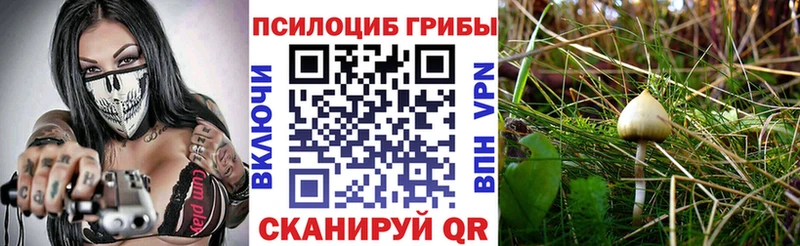 Псилоцибиновые грибы GOLDEN TEACHER  Алейск 